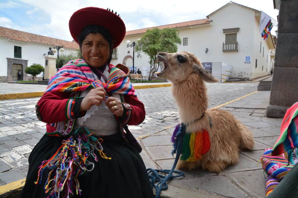 Lama som husdjur? i Cusco, Peru