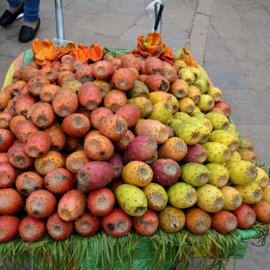 Kaktusfrukter Peru Chivay, Peru