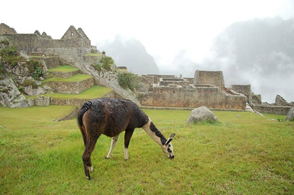 Dimman lättar i Machu Picchu, Peru