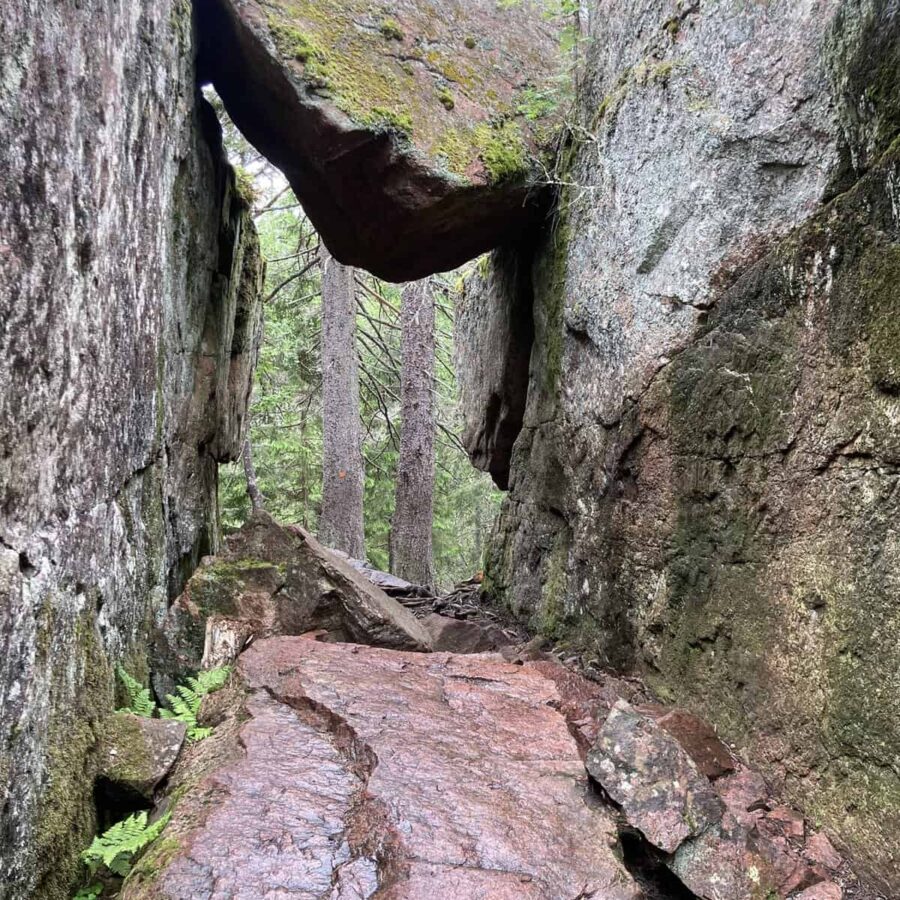 Höga Kusten Skuleskogen walk national park