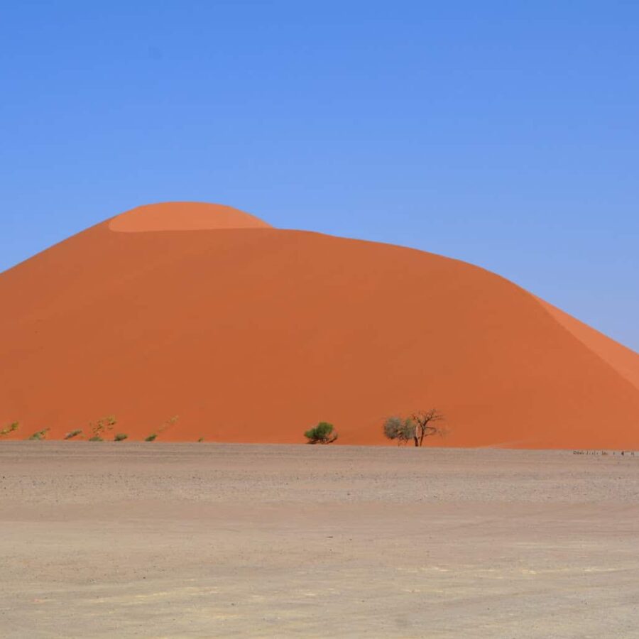 Namibia dead vlei