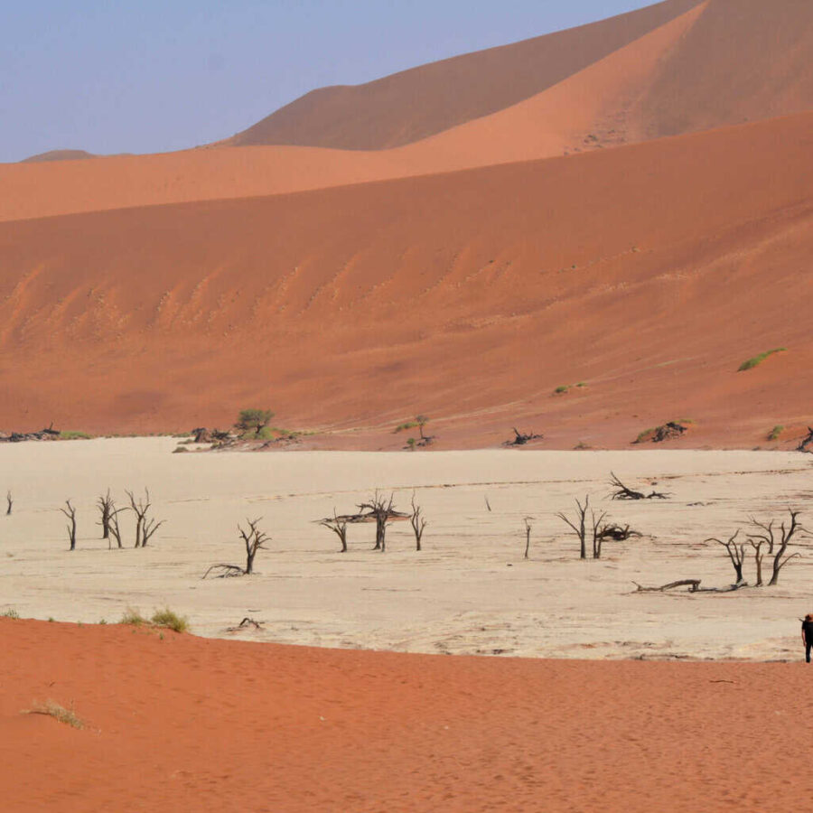 Namibia dead vlei