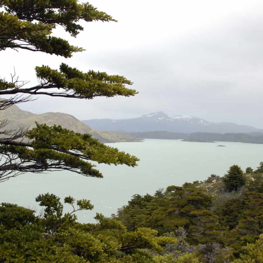 Argentina patagonia