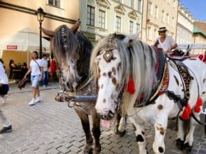 Krakow Old Town - Stare Miasto