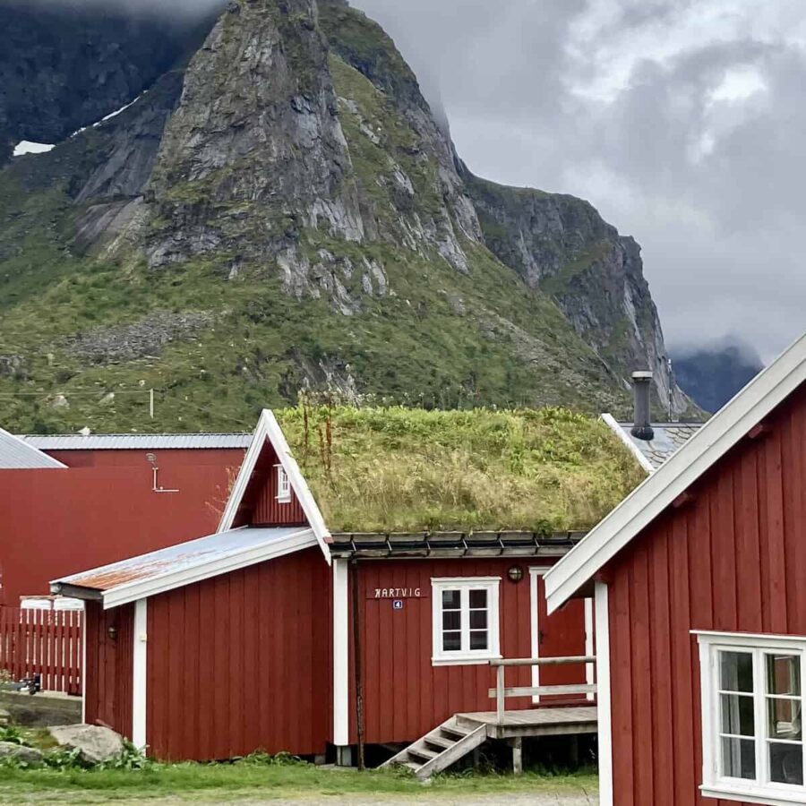 Reine Lofoten