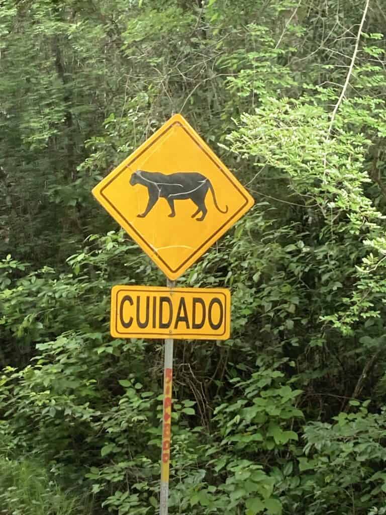 Guatemala Tikal warning for jaguar